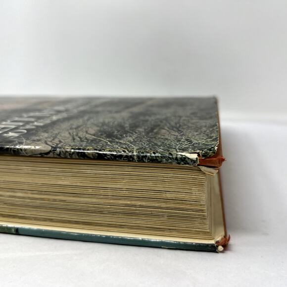 Larousse Encyclopedia of Animal Life - 1967 Paul Hamlyn Limited hard Cover VTG - Picture 8 of 13